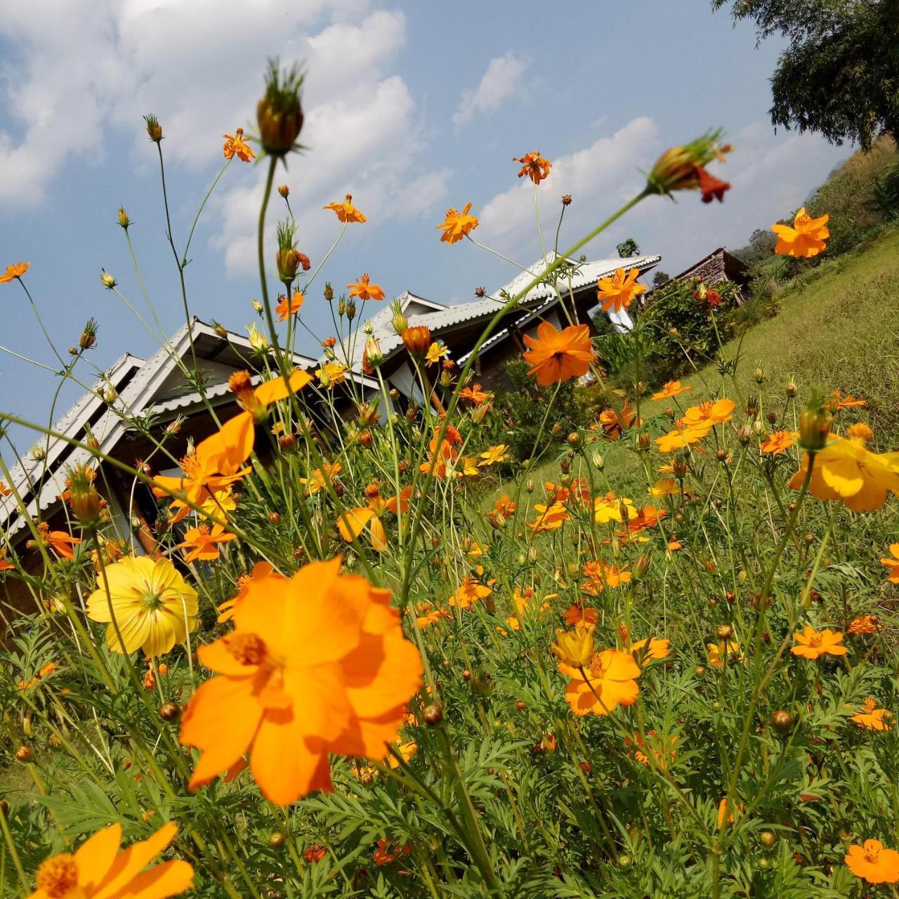 Tulip Resort 빠이 외부 사진